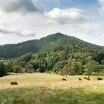 شقة Im Holzhau