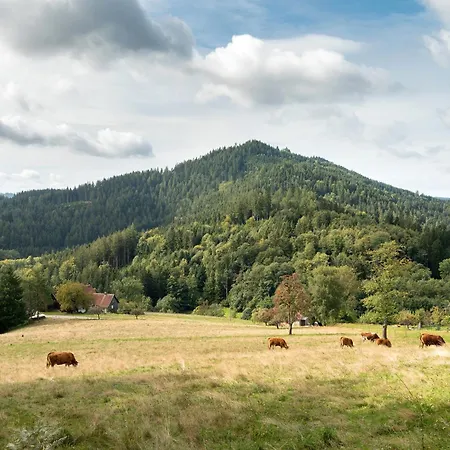 Im Holzhau Apartment *