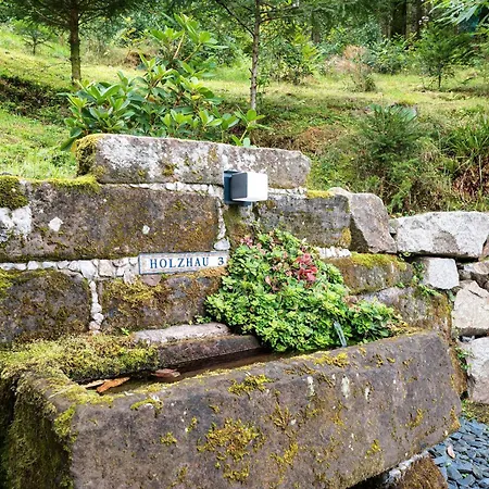 Im Holzhau Apartment Bad Peterstal-Griesbach