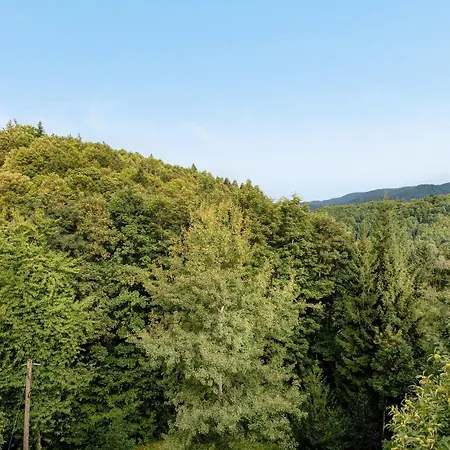 Apartment Im Holzhau *